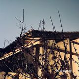 一座麓山寺 从来未下山