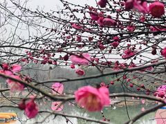 -春暖花开(西溪店)