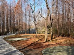 -溱湖国家湿地公园