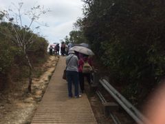 iphone_upload_pic-南丫岛