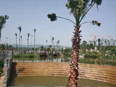 -枫香湖儿童公园