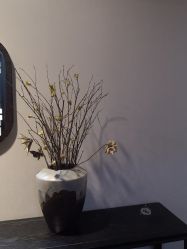 -盘子女人坊古装写真摄影(天津总店)