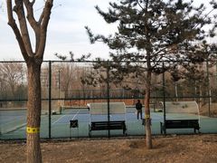 -回龙观体育文化公园