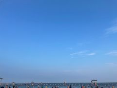 -碧海金沙