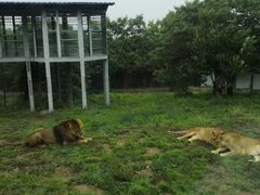 -西安秦岭野生动物园