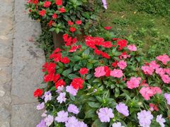 -庐山风景区花径公园