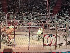 -俄罗斯国家大马戏团