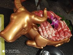 -羊肉街口老银川滩羊涮肉馆