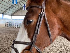 -月河湾马术俱乐部(朝阳店)