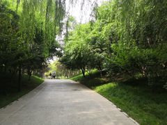 -北坞公园
