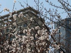 -西北湖绿化广场