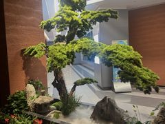 -许爷家·生态湖鲜(徐汇日月光店)