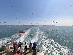 -海驴岛(荣成市)