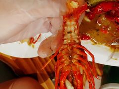 -德信恒隆国际酒店