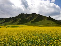 -扁都口生态休闲旅游区