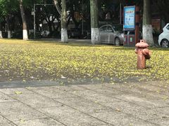 -中国客家博物馆