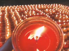 -菩提树·素食餐厅(汇智国际商业中心店)