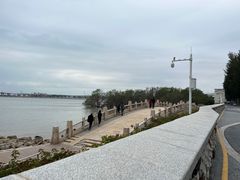 -宝安西湾红树林湿地公园