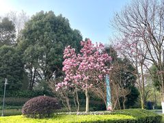 -成都蒲江花样年福朋喜来登度假酒店·宜客乐西餐厅