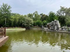 -西安市长乐公园