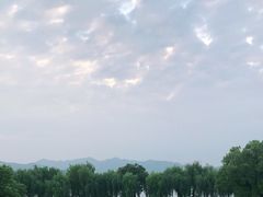 -闻莺馆(柳浪闻莺店)