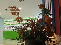 -凯德MALL(望京店)