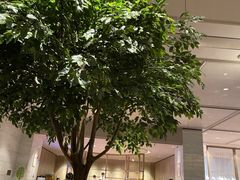 -博林天瑞喜来登酒店·西丽尚膳