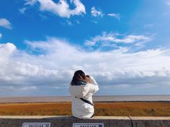 -南汇嘴观海公园