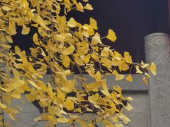 -南岳明心寺