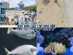 -海合安武汉极地海洋公园