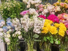 -FEI FEI FLOWER鲜花店·气球派对·宝宝宴布置(虹口德必运动Loft店)