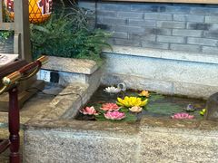 -南京大牌档(青岛万象城店)