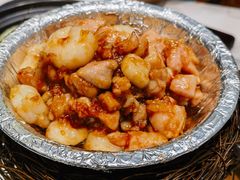 -丁老爷子苏香圆