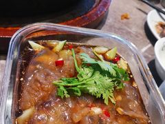 -老板恋上鱼(恒隆广场店)