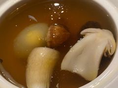 -日出青木
