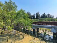 -宝安西湾红树林湿地公园