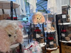 -溪岸路花鸟市场