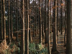 -云龙湖旅游景区