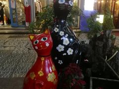 -猫咪博物馆(顶澳仔猫街店)