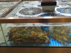 水产区-七鲜超市(通州ONE店)