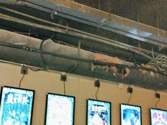 -逃脱反斗城沉浸剧情密室(北京路店)