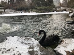 -钓鱼台国宾馆