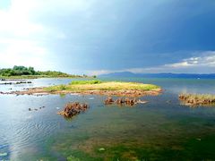 -洱海月湿地公园