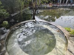 -深业半汤御泉庄温泉