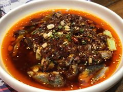 -铁公鸡·四川料理(天环广场店)