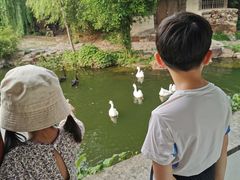 -水绘园