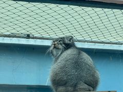 -青藏高原野生动物园
