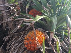 -龙坑生态保护区