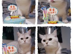 -仟吉(沌口店)