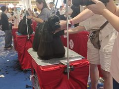 -深圳龙华星河COCO City(民治店)